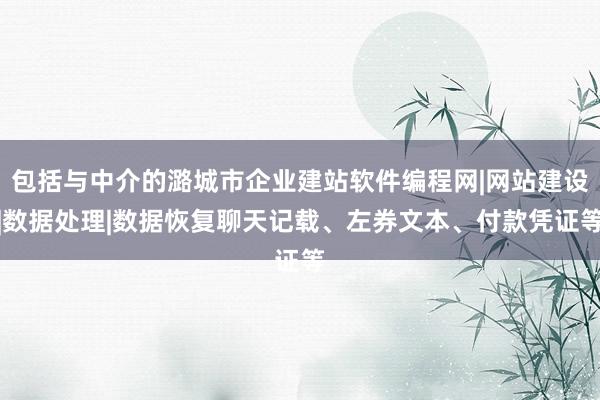包括与中介的潞城市企业建站软件编程网|网站建设|数据处理|数据恢复聊天记载、左券文本、付款凭证等