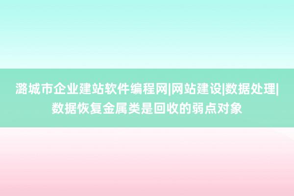 潞城市企业建站软件编程网|网站建设|数据处理|数据恢复金属类是回收的弱点对象